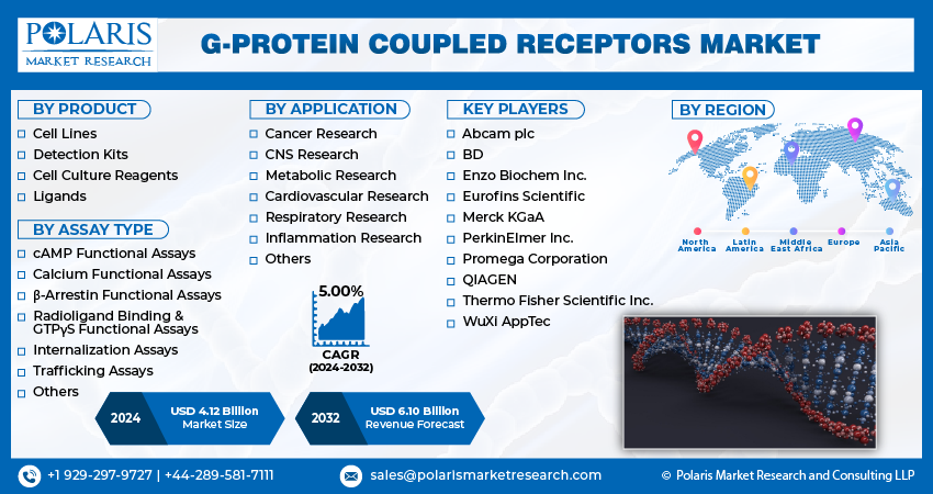 G-Protein Coupled Receptors Market size